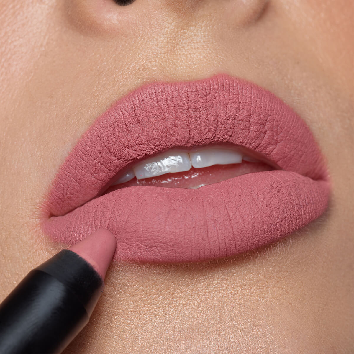 MAGNETIC MATTE LIP COLOR (L&Aacute;PIZ DE LABIOS MATE)
